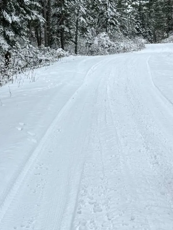 8 ПРИЧИН КУПИТЬ ФЭТБАЙК